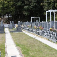 木蓮区