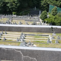 蓮華区